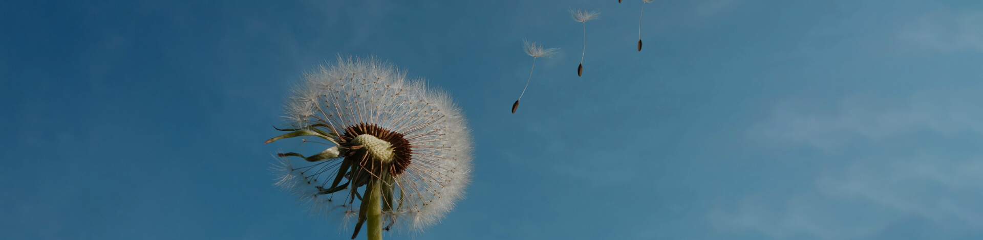 Bevictorΰ�¹��� - Τ��(�й�)����-ΰ��ʼ��1946